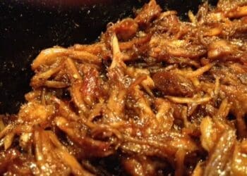 Honey Barbecue Shredded Pork - TheRecipe.Website
