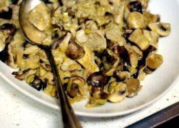 Mushroom Ragout - TheRecipe.Website