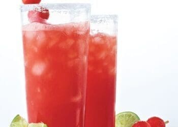 Frosty Citrus Refresher Recipe - TheRecipe.Website