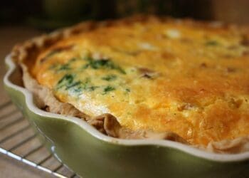 Mushroom and Sour Cream Pie - TheRecipe.Website
