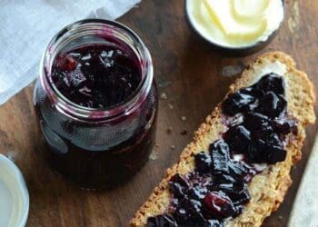 Berry Blueberry Chutney - TheRecipe.Website