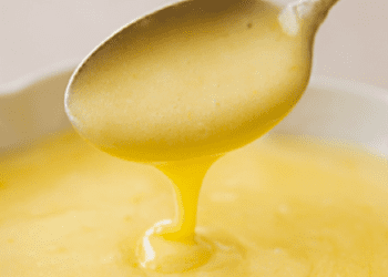 Blender Hollandaise Sauce - TheRecipe.Website