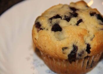 Blueberry Muffin - TheRecipe.Website