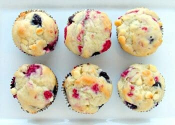 Blueberry and White Chip Muffin - TheRecipe.Website