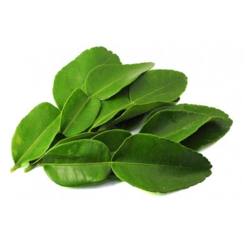 Curry Leaf - TheRecipe.Website