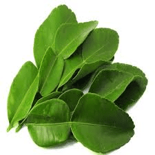 Kaffir Lime Leaves - TheRecipe.Website