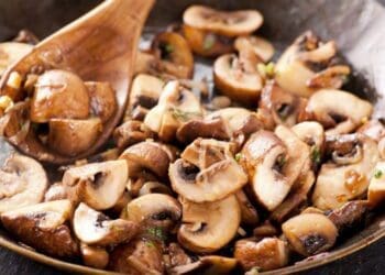 Mushrooms with Chipotles(Smoked Jalapenos) - TheRecipe.Website