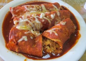 Chorizo Enchiladas with Guajillo Sauce Recipe - TheRecipe.Website