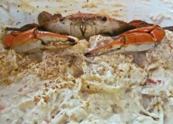 Hot Crab Dip - TheRecipe.Website