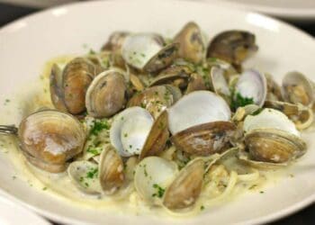 Linguine with Steamed Clams - TheRecipe.Website