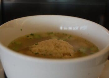 Chicken Soup with Matzos Recipe - TheRecipe.Website