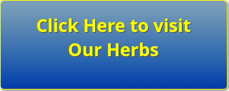 Herbs - TheRecipe.Website