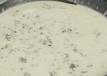Gorgonzola Sauce - TheRecipe.Website