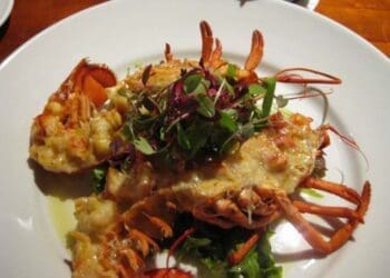 Lobster Thermidor - TheRecipe.Website