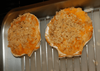 Crab au Gratin - TheRecipe.Website