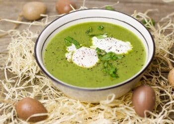 Avocado Soup - Sopa de Aquacate Recipe - TheRecipe.Website
