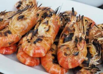 Barbecue Shrimp - Therecipe.website
