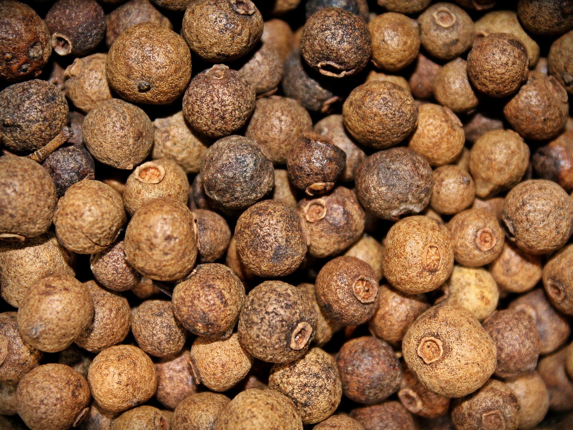 Allspice - TheRecipe.Website