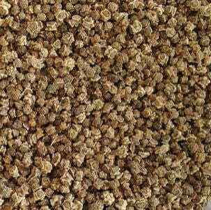 Celery Seeds - TheRecipe.Website