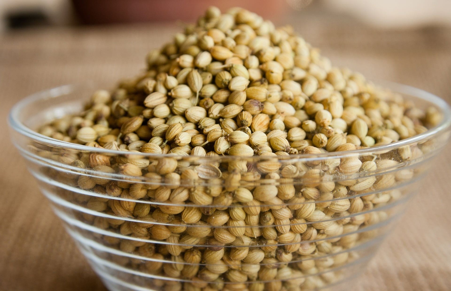 Coriander Seeds - TheRecipe.Website