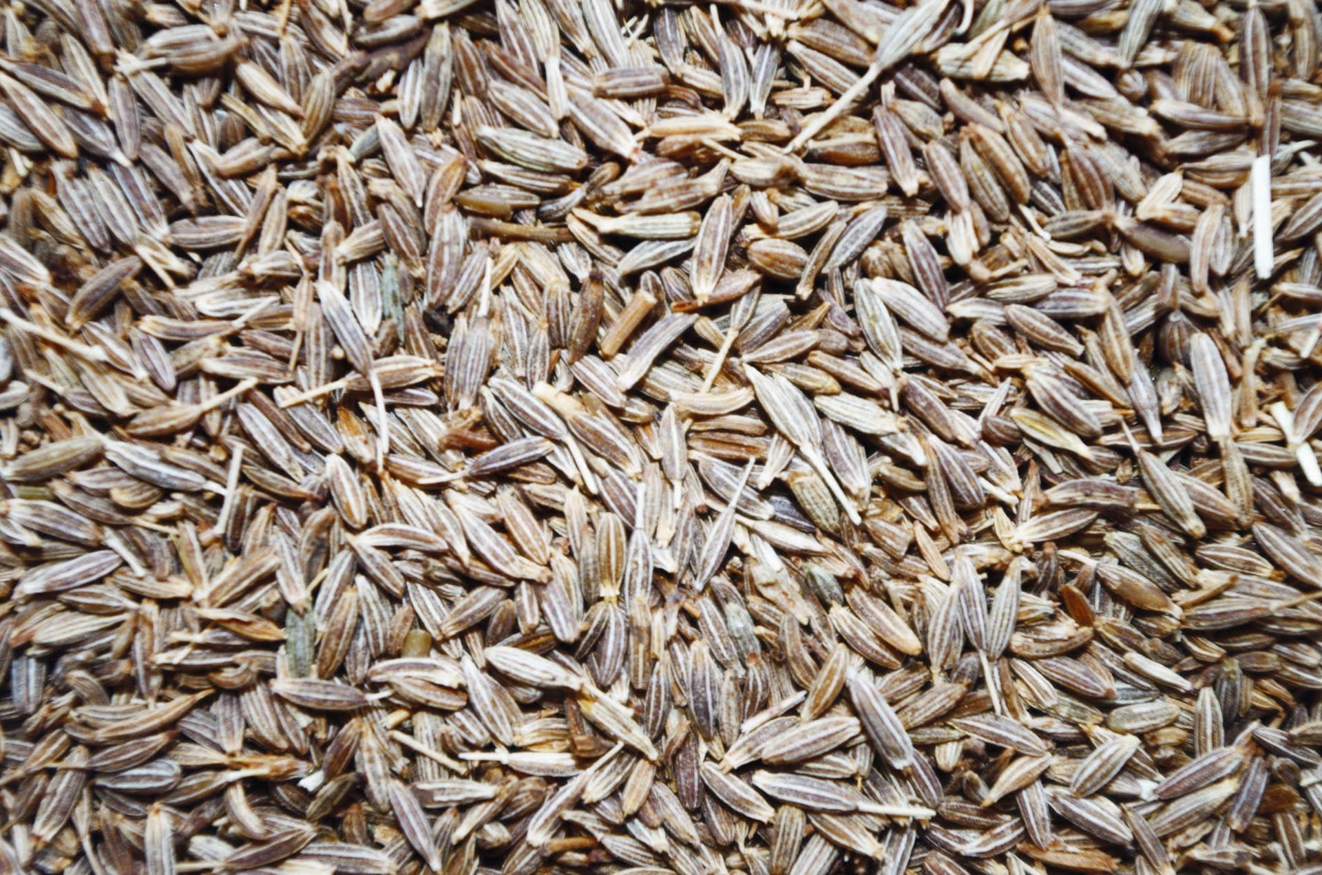 Cumin - TheRecipe.Website
