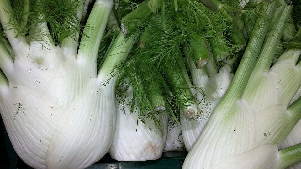 Fennel Leaves - TheRecipe.Website