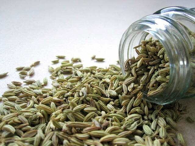 Fennel Seeds - TheRecipe.Website