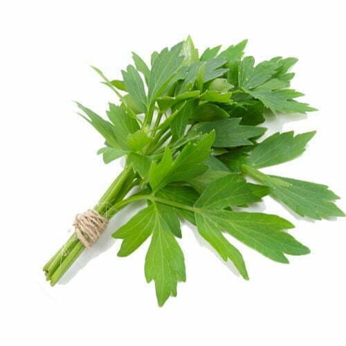 Lovage - TheRecipe.Website