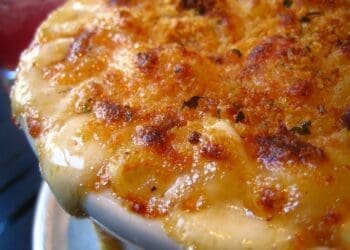 Flickr Rick 349850413--Macaroni and Cheese Closeup