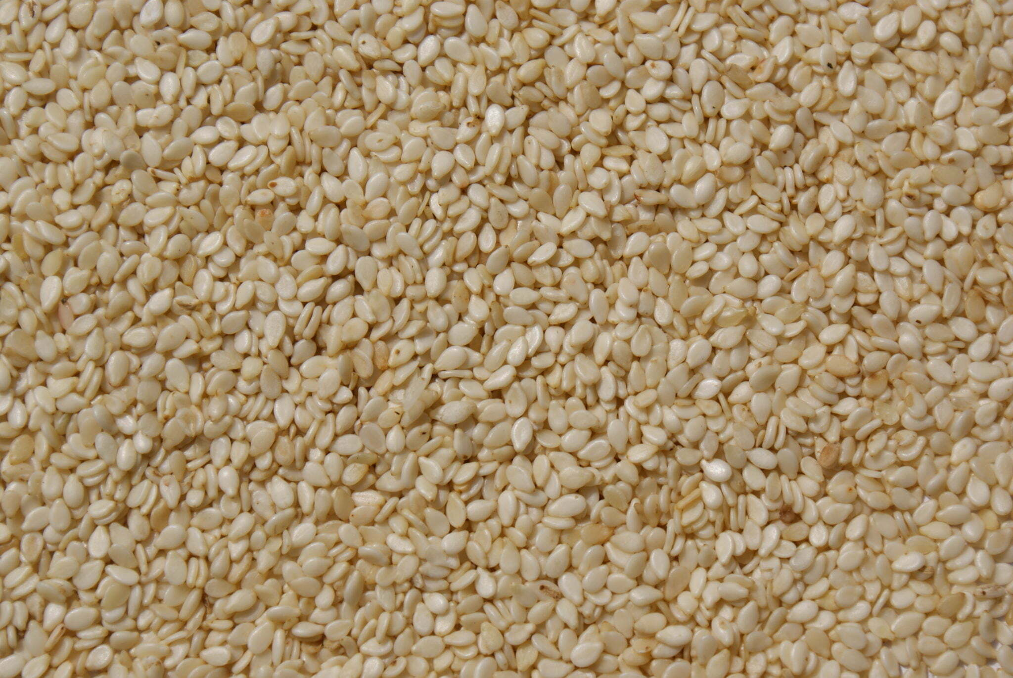 Sesame Seeds - TheRecipe.Website