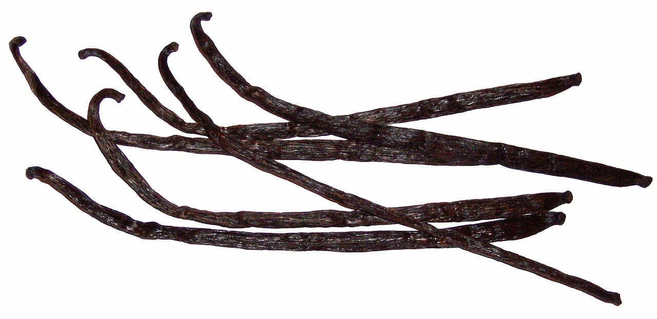 Vanilla Pods - TheRecipe.Website