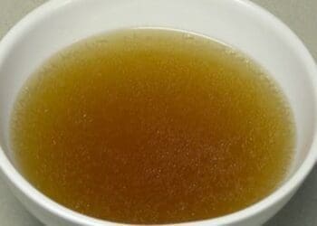 Vietnamese Style Chicken Stock Recipe - TheRecipe.Website