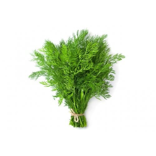 Dill - TheRecipe.Website