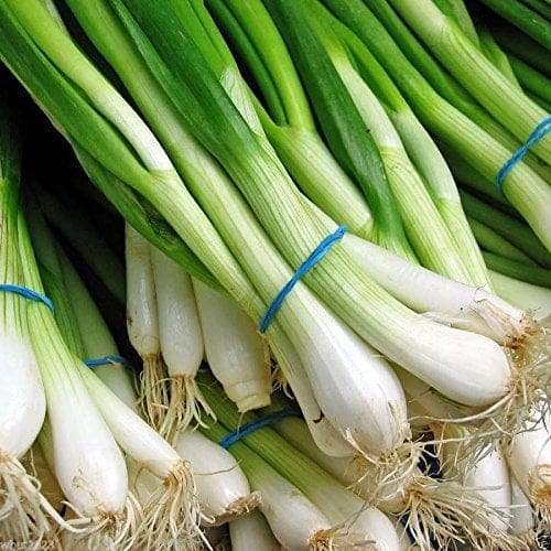 Scallion / Spring Onions - TheRecipe.Website