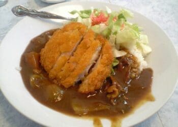 Chicken Katsu Curry - TheRecipe.Website
