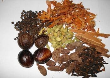Garam Masala Recipe - TheRecipe.Website
