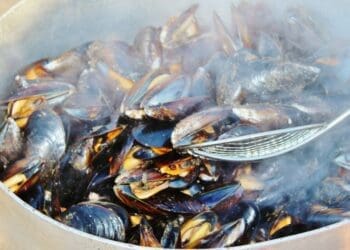Moules Mariniere Magic - TheRecipe.Website