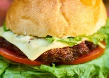 Spicy Burger - TheRecipe.Website