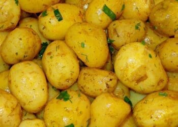 Boiled Potatoes with Herbs - TheRecipe.Website