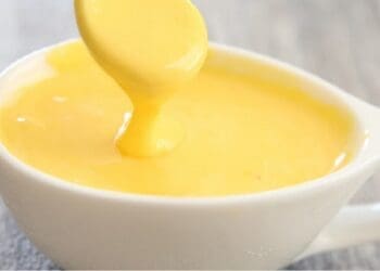 Hollandaise Sauce Recipe - TheRecipe.Website