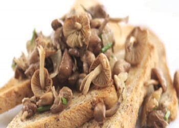 Wild Mushrooms on Toast