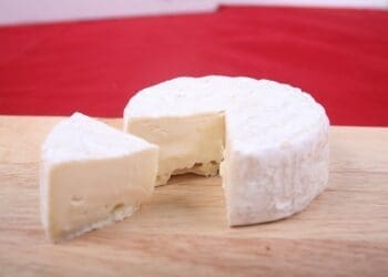 Brie Sauce - TheRecipe.Website