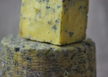 Blue Cheese Sauce - TheRecipe.Website