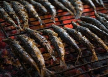Bbq Sardines