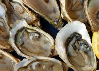 Oysters with Shallots