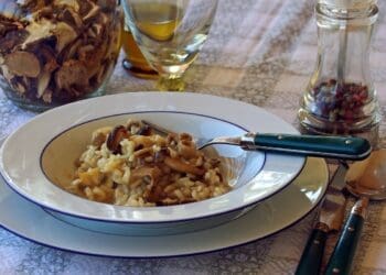 Mushroom Risotto
