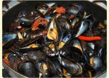 Mussels with Tomato and Chilli Recipe - TheRecipe.Website