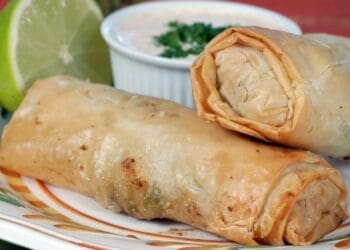 Vegetarian Spring Rolls - TheRecipe.Website