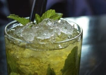 Virgin Mojito Recipe - TheRecipe.Website