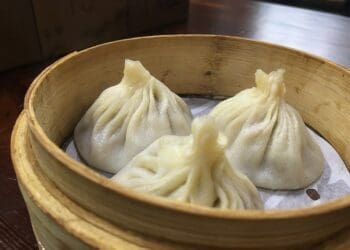 Chicken and Shrimp Dumplings Recipe - TheRecipe.Website